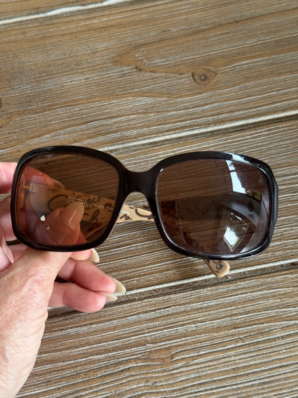 Coach Brown & Cream Women's Sunglasses with Gold Logo Accent